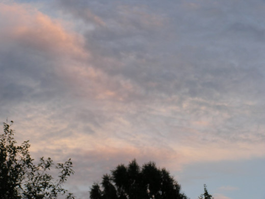 26546 (a): :1024x768